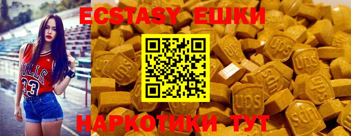 МЕФ Череповец