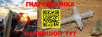PSILOCYBIN Пушкино