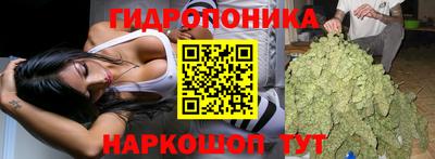 ГАЛЛЮЦИНОГЕННЫЕ ГРИБЫ Пугачёв