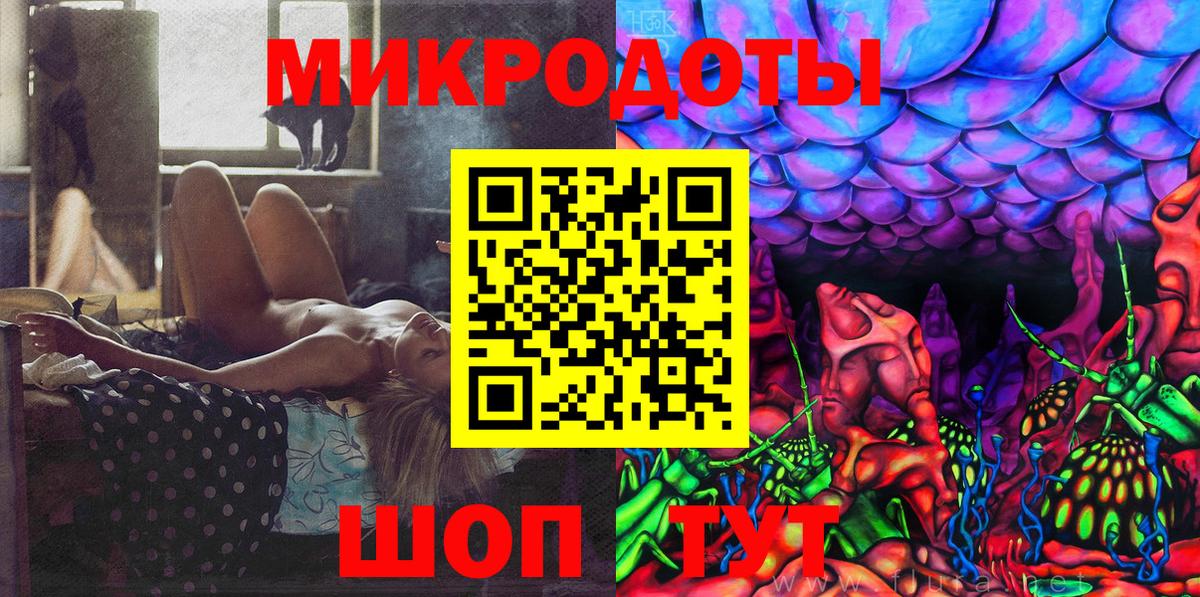 Псилоцибиновые грибы Cubensis Череповец