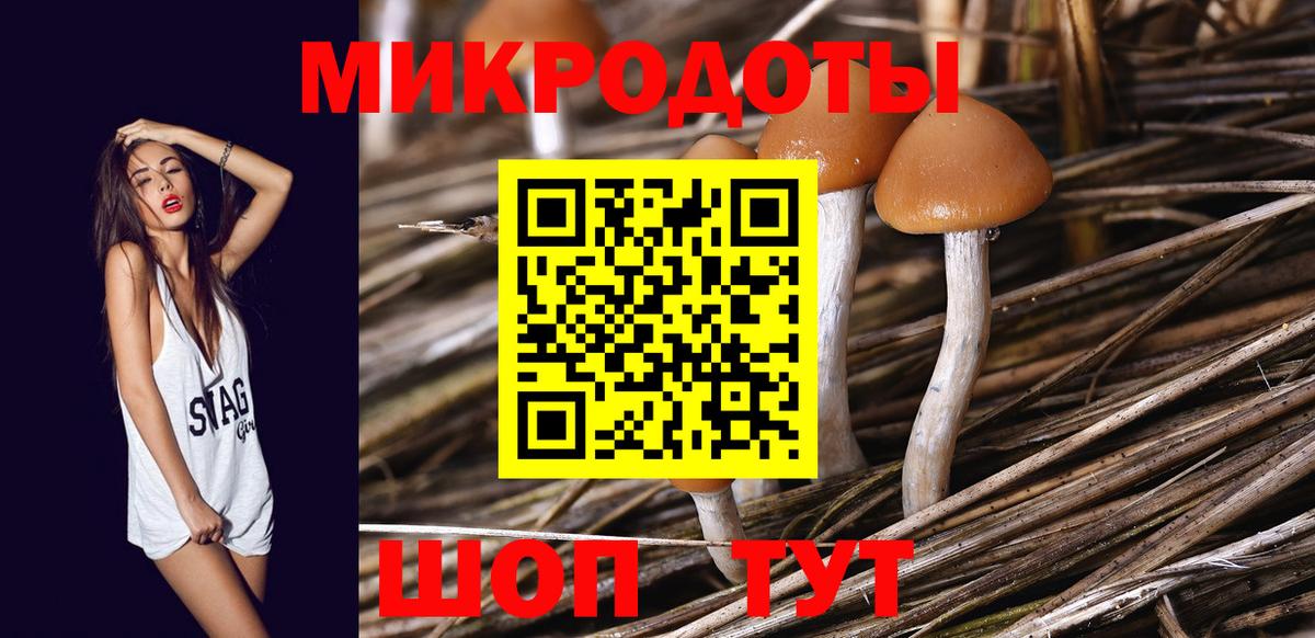 Псилоцибиновые грибы Magic Shrooms  Череповец  Псилоцибиновые грибы мицелий 