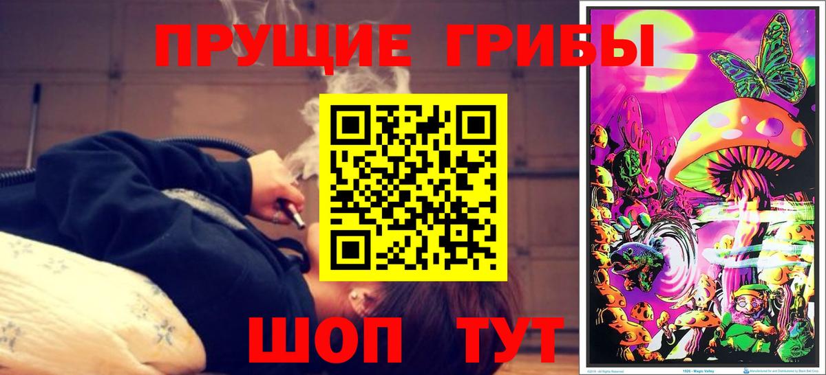 хочу   Псилоцибиновые грибы мухоморы  Череповец  Вход с VPN  Галлюциногенные грибы Magic Shrooms 